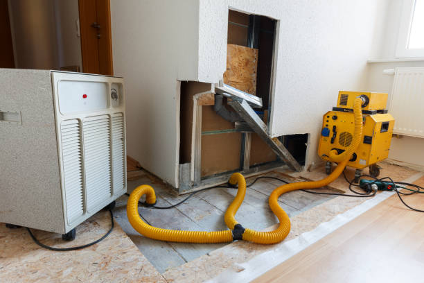  Riverton, UT Mold Removal Pros